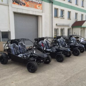 NeSS Buggy 1.3L (nicht mehr lieferbar) – Bild 4