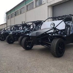 NeSS Buggy 1.3L (nicht mehr lieferbar) – Bild 3