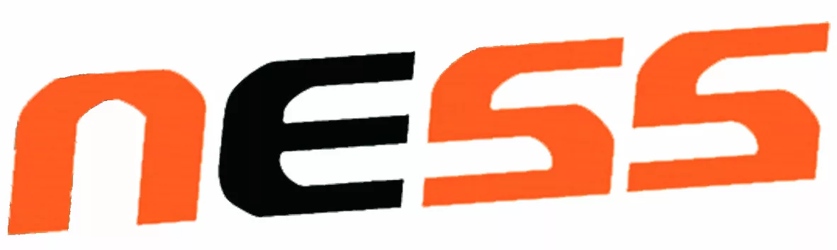 NeSS NewStreetStyle